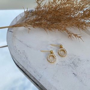 14k Gold Filled Agboola Circle Dangle Earrings